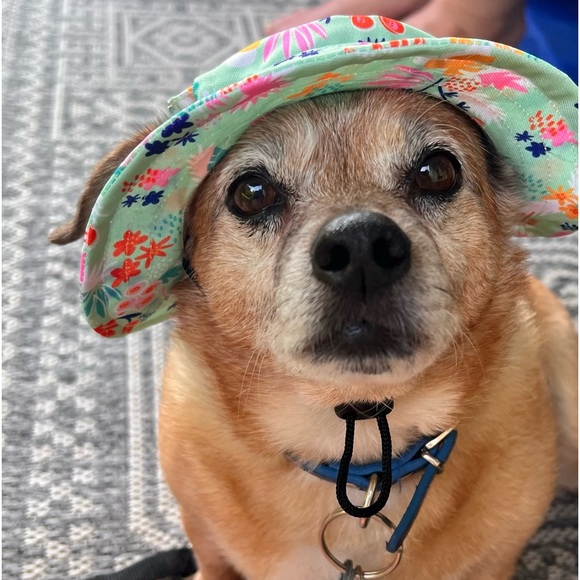 Meet your Posher, Shelly - Picture 2 of 2